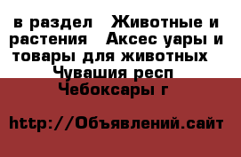  в раздел : Животные и растения » Аксесcуары и товары для животных . Чувашия респ.,Чебоксары г.